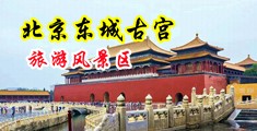 鸡吧操小骚穴视频中国北京-东城古宫旅游风景区